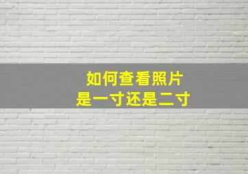 如何查看照片是一寸还是二寸