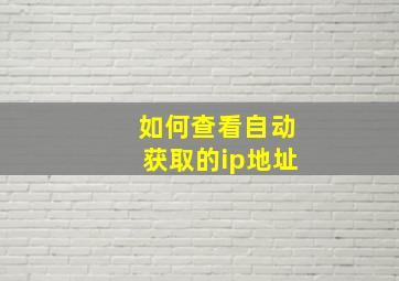 如何查看自动获取的ip地址