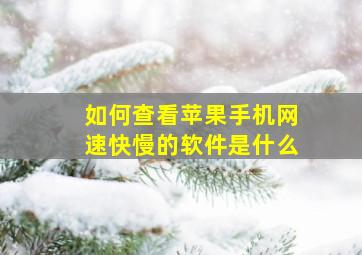 如何查看苹果手机网速快慢的软件是什么