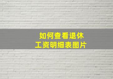 如何查看退休工资明细表图片