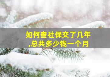 如何查社保交了几年,总共多少钱一个月