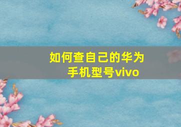 如何查自己的华为手机型号vivo