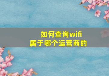 如何查询wifi属于哪个运营商的