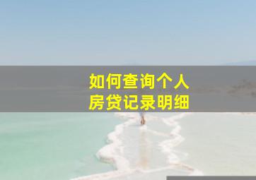 如何查询个人房贷记录明细