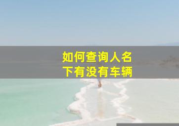 如何查询人名下有没有车辆