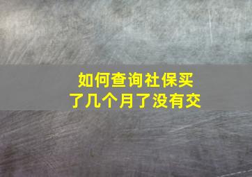 如何查询社保买了几个月了没有交