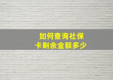 如何查询社保卡剩余金额多少