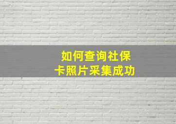 如何查询社保卡照片采集成功