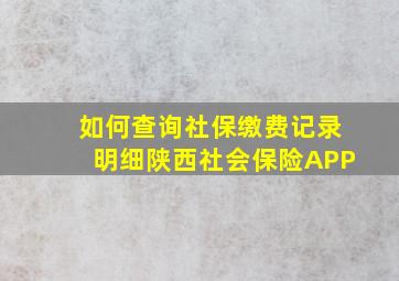 如何查询社保缴费记录明细陕西社会保险APP