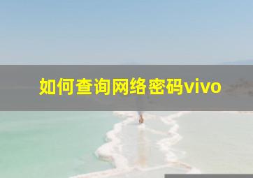 如何查询网络密码vivo