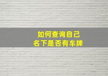 如何查询自己名下是否有车牌