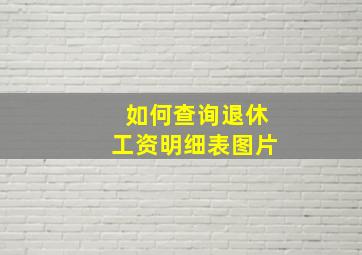 如何查询退休工资明细表图片