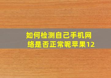 如何检测自己手机网络是否正常呢苹果12