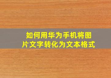 如何用华为手机将图片文字转化为文本格式