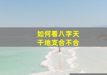 如何看八字天干地支合不合