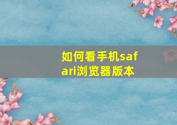 如何看手机safari浏览器版本