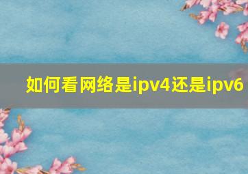 如何看网络是ipv4还是ipv6