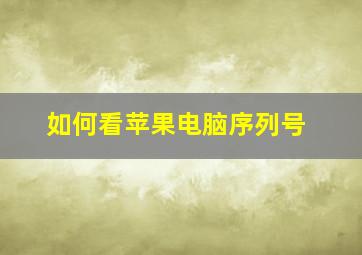 如何看苹果电脑序列号