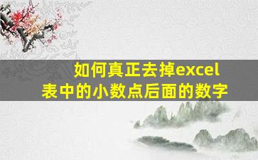 如何真正去掉excel表中的小数点后面的数字