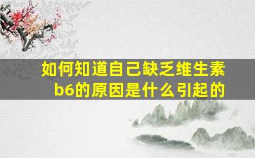 如何知道自己缺乏维生素b6的原因是什么引起的