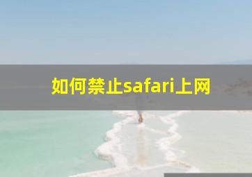 如何禁止safari上网