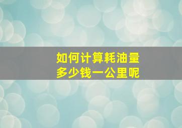 如何计算耗油量多少钱一公里呢