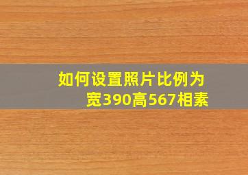 如何设置照片比例为宽390高567相素