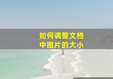 如何调整文档中图片的大小