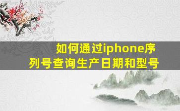 如何通过iphone序列号查询生产日期和型号