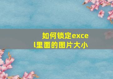 如何锁定excel里面的图片大小