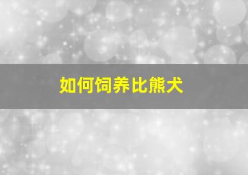 如何饲养比熊犬