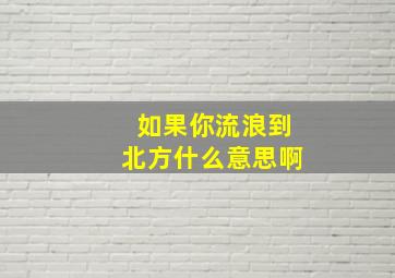 如果你流浪到北方什么意思啊