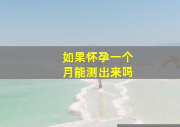 如果怀孕一个月能测出来吗