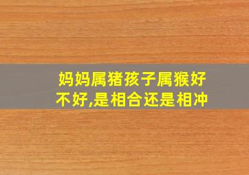 妈妈属猪孩子属猴好不好,是相合还是相冲