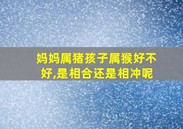 妈妈属猪孩子属猴好不好,是相合还是相冲呢