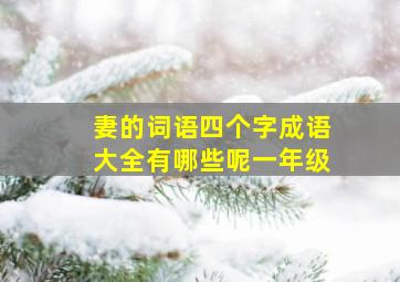 妻的词语四个字成语大全有哪些呢一年级