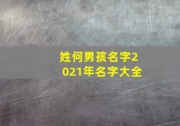 姓何男孩名字2021年名字大全