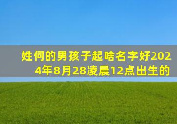 姓何的男孩子起啥名字好2024年8月28凌晨12点出生的