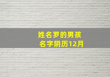 姓名罗的男孩名字阴历12月