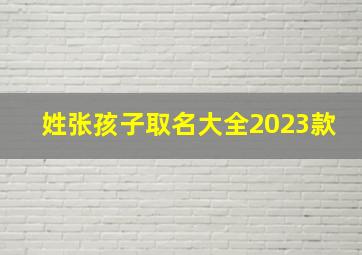 姓张孩子取名大全2023款