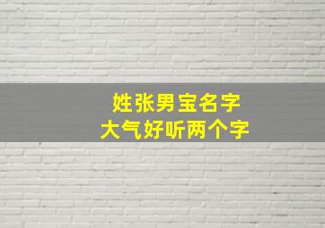 姓张男宝名字大气好听两个字