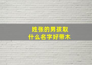 姓张的男孩取什么名字好带木