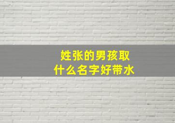 姓张的男孩取什么名字好带水