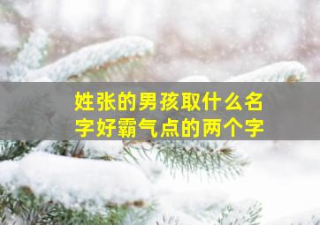 姓张的男孩取什么名字好霸气点的两个字