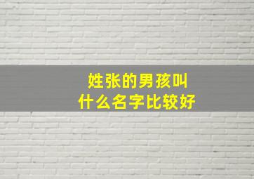 姓张的男孩叫什么名字比较好