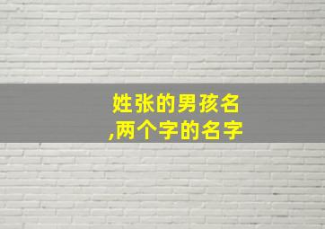 姓张的男孩名,两个字的名字