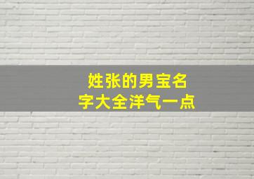 姓张的男宝名字大全洋气一点