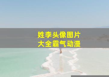 姓李头像图片大全霸气动漫