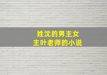 姓沈的男主女主叶老师的小说