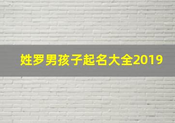 姓罗男孩子起名大全2019